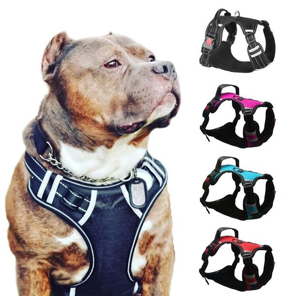 dog collars & leashes adjustable harness matching leash collar reflective pet training supplies dogs breathable accessories
dog collars & leashes adjustable harness matching leash collar reflective pet training supplies dogs breathable accessories