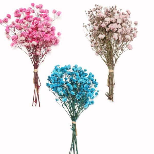 decorative flowers & wreaths mini dried babysbreath bouquet natural plants preserve floral for wedding home decoration
decorative flowers & wreaths mini dried babysbreath bouquet natural plants preserve floral for wedding home decoration