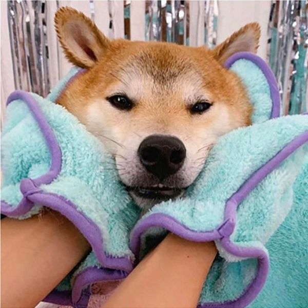 dog apparel cute pet bathrobe soft cozy drying bath towel for cat hoodies puppy bathrobes grooming cleaning necessary
dog apparel cute pet bathrobe soft cozy drying bath towel for cat hoodies puppy bathrobes grooming cleaning necessary