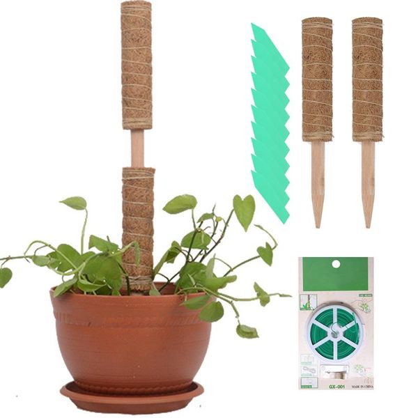 other garden supplies plant climbing coir pole safe gardening coconut palm stick for support plants creepers and vines auxiliary tools
other garden supplies plant climbing coir pole safe gardening coconut palm stick for support plants creepers and vines auxiliary tools