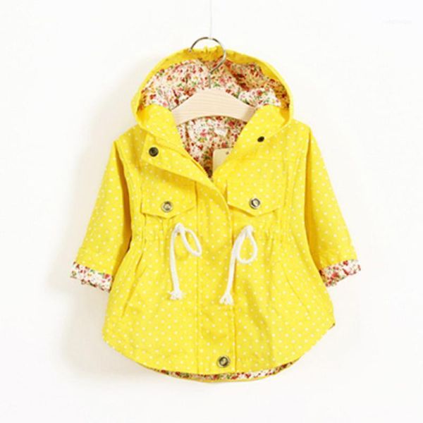 jackets spring autumn girls windbreaker coat baby kids flower embroidery hooded outwear for coats jacket clothing1, Blue;gray
jackets spring autumn girls windbreaker coat baby kids flower embroidery hooded outwear for coats jacket clothing1, Blue;gray