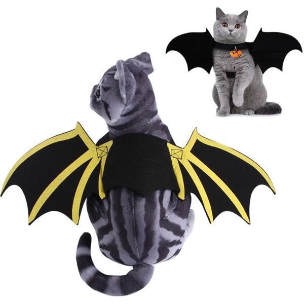 cat costumes 1pc halloween pet dog bat wings cosplay fancy dress costume outfit funny cool party
cat costumes 1pc halloween pet dog bat wings cosplay fancy dress costume outfit funny cool party