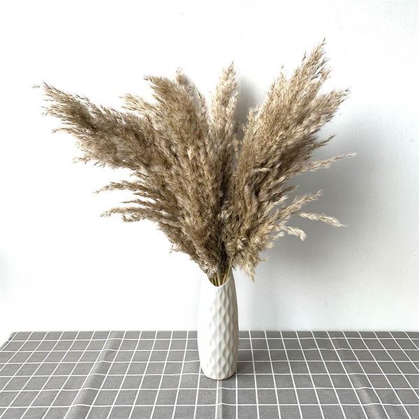 decorative flowers & wreaths panbas plant family wedding dry bouquet feather natural reeds
decorative flowers & wreaths panbas plant family wedding dry bouquet feather natural reeds