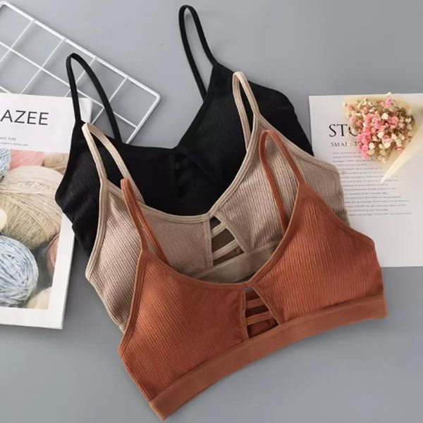 yoga bra women padded sports shake proof running workout gym tank fitness brassiere outfit
yoga bra women padded sports shake proof running workout gym tank fitness brassiere outfit