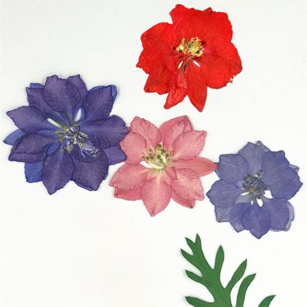 decorative flowers & wreaths dried pressed for jewelry po frame phone case scrapbooking craft violet flower diy making accessories 12pcs
decorative flowers & wreaths dried pressed for jewelry po frame phone case scrapbooking craft violet flower diy making accessories 12pcs