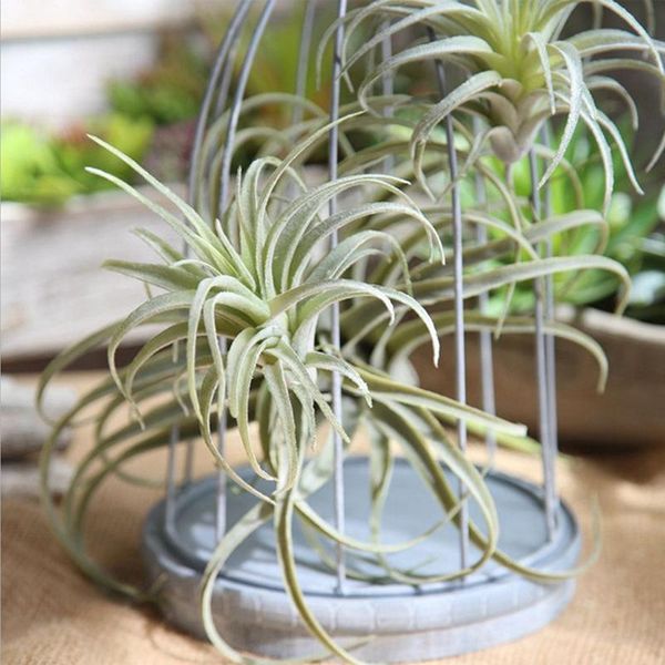 decorative flowers & wreaths artificial flocked pineapple air grass european style 1pc simulation green plants vine wedding decoration for h
decorative flowers & wreaths artificial flocked pineapple air grass european style 1pc simulation green plants vine wedding decoration for h