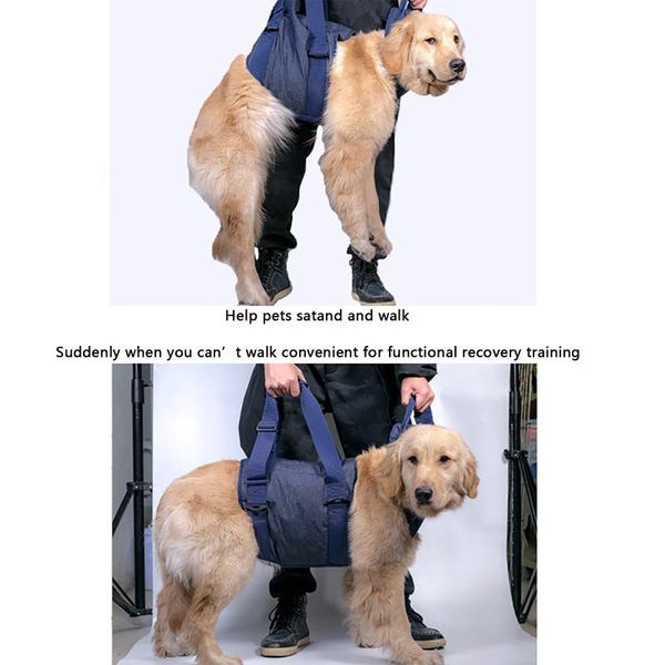 dog collars & leashes pet chest harness handledog walking portable harnesstravel outdoor pets supply
dog collars & leashes pet chest harness handledog walking portable harnesstravel outdoor pets supply