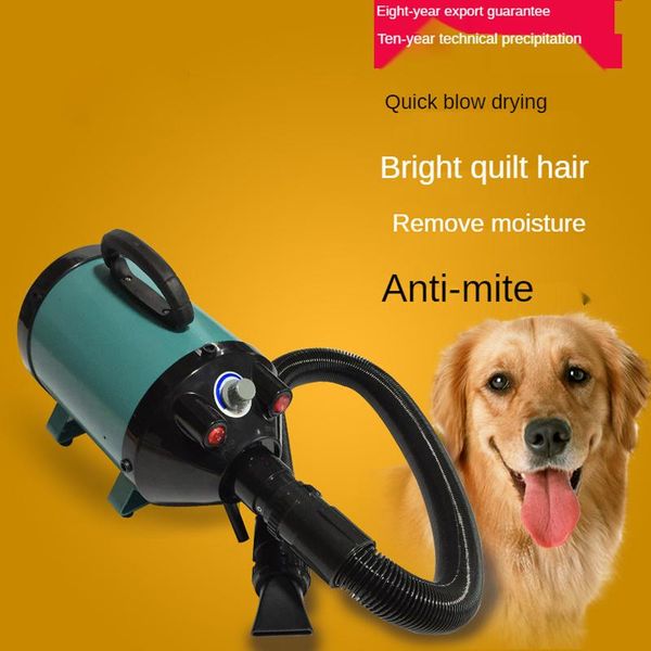 power hair dryer for dogs pet cat grooming blower warm wind secador fast blow small medium electric brushes
power hair dryer for dogs pet cat grooming blower warm wind secador fast blow small medium electric brushes