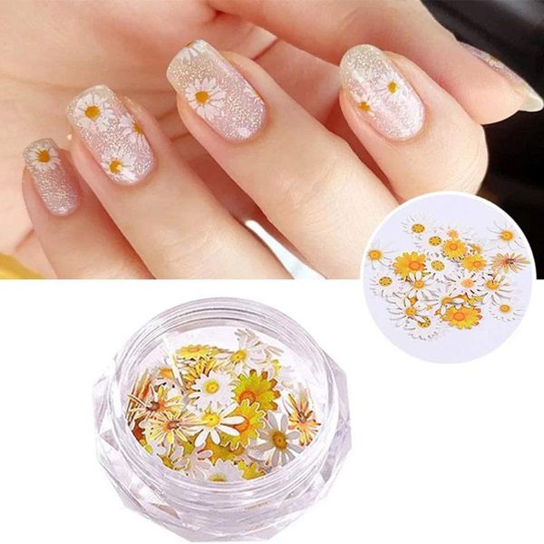 nail art kits 3d simulation flower stickers holographic glitter sequin acrylic paillettes romantic daisy flowers flakes sequins
nail art kits 3d simulation flower stickers holographic glitter sequin acrylic paillettes romantic daisy flowers flakes sequins
