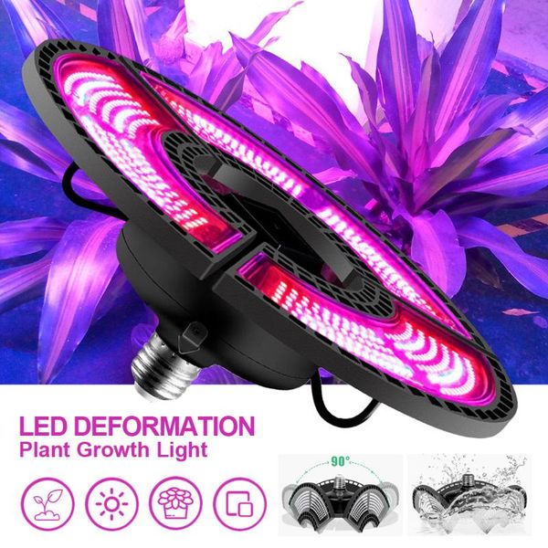 plant grow light greenhouse waterproof seedling planting uv lamp red and blue spectrum folding lights
plant grow light greenhouse waterproof seedling planting uv lamp red and blue spectrum folding lights