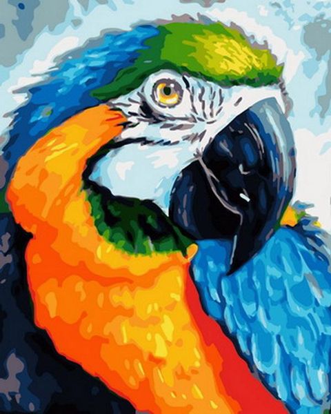 paintings frameless painting by numbers animals wall decor diy picture oil on canvas for home 4050cm macaw
paintings frameless painting by numbers animals wall decor diy picture oil on canvas for home 4050cm macaw