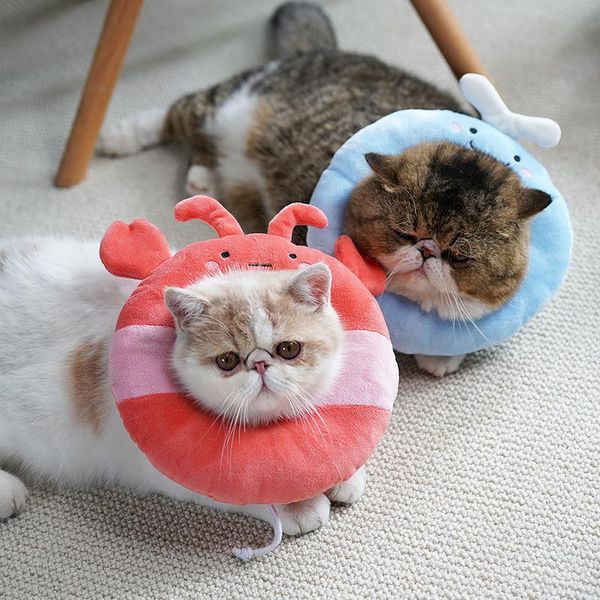 cat collars & leads adjustable recovery collar, cute neck cone after , wound healing protective elizabethan
cat collars & leads adjustable recovery collar, cute neck cone after , wound healing protective elizabethan