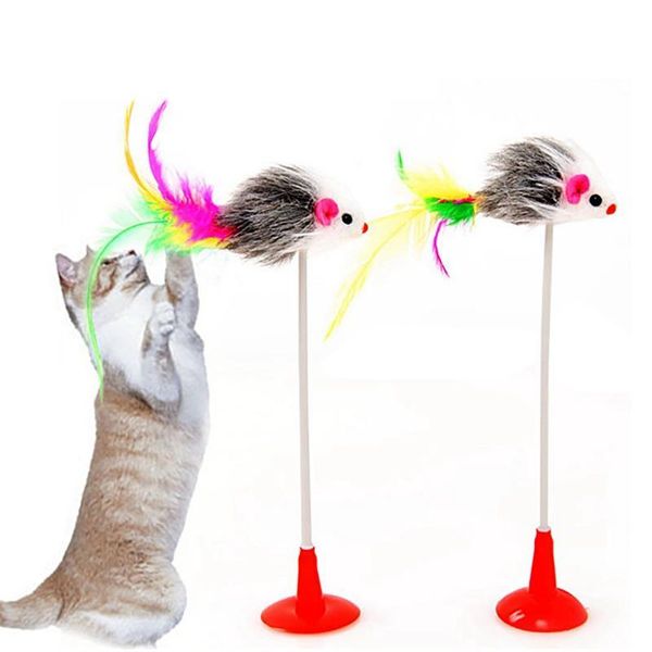 cat toys 2pcs kitten teasers mouse fashion favor chew funny play training interactive
cat toys 2pcs kitten teasers mouse fashion favor chew funny play training interactive
