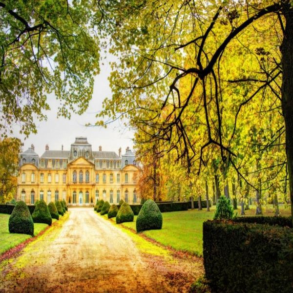 wallpapers dropship colomac wood wallpaper european and american school tree sunshine modern wall mural bedroom carta da parati
wallpapers dropship colomac wood wallpaper european and american school tree sunshine modern wall mural bedroom carta da parati