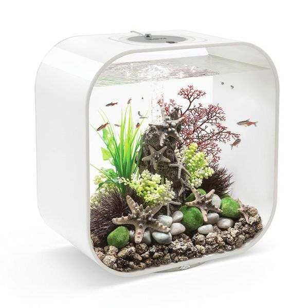aquariums small and medium sized aquarium living room home decoration landscaping package
aquariums small and medium sized aquarium living room home decoration landscaping package