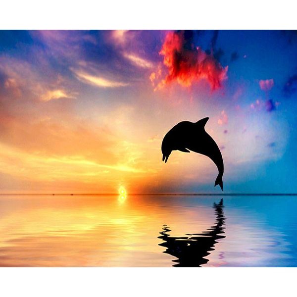 paintings selilali dolphin under sunset animal painting by numbers kits for adults unique gift coloring on canvas home living room decor
paintings selilali dolphin under sunset animal painting by numbers kits for adults unique gift coloring on canvas home living room decor