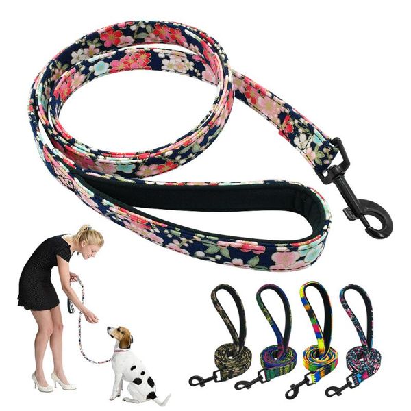 dog collars & leashes 4ft pet leash nylon small large puppy dogs walking training lead printed rope rainbow belt for pitbull pug beagle
dog collars & leashes 4ft pet leash nylon small large puppy dogs walking training lead printed rope rainbow belt for pitbull pug beagle