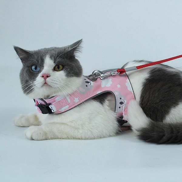 cat collars & leads dog adjustable harness and leash set reflective outdoor pet vest kitten collar polyester mesh accessories gatos
cat collars & leads dog adjustable harness and leash set reflective outdoor pet vest kitten collar polyester mesh accessories gatos