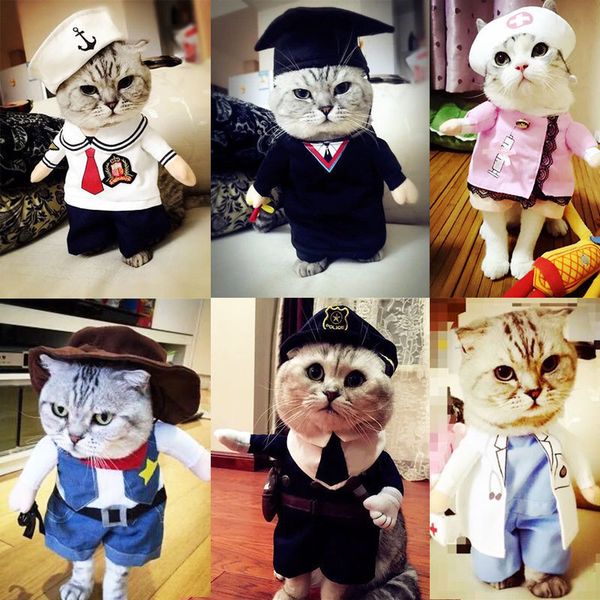 hairls cat cloth net red summer playing guitar funny disguise pet spring and autumn dog
hairls cat cloth net red summer playing guitar funny disguise pet spring and autumn dog