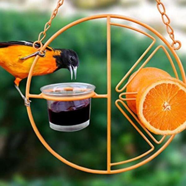 other bird supplies oriole feeder hanging pet feeding wrought iron orange jam fruit hummingbird for comedero pajaro birds accessoires
other bird supplies oriole feeder hanging pet feeding wrought iron orange jam fruit hummingbird for comedero pajaro birds accessoires