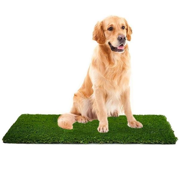 kennels & pens professional dog grass mat artificial outdoor potty training pad for medium large indoor natural bed
kennels & pens professional dog grass mat artificial outdoor potty training pad for medium large indoor natural bed