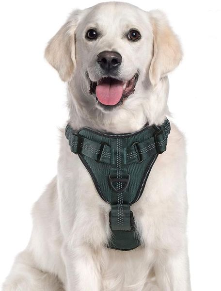 dog collars & leashes rabbitgoo harness no pull, adjustable walking with 2 leash clips -absorbing bungee straps accessories
dog collars & leashes rabbitgoo harness no pull, adjustable walking with 2 leash clips -absorbing bungee straps accessories