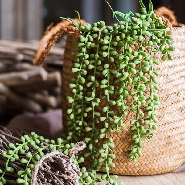 green artificial succulents plants home garden bedroom balcony desktable mini bonsai wedding party decoration fake decorative flowers &
green artificial succulents plants home garden bedroom balcony desktable mini bonsai wedding party decoration fake decorative flowers &