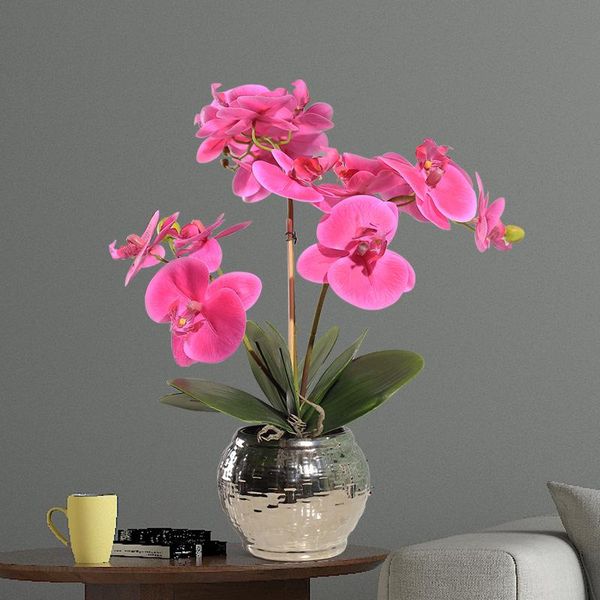 decorative flowers & wreaths imitation flower potted plant hand feeling heat preservation butterfly orchid art set meal ornament household
decorative flowers & wreaths imitation flower potted plant hand feeling heat preservation butterfly orchid art set meal ornament household