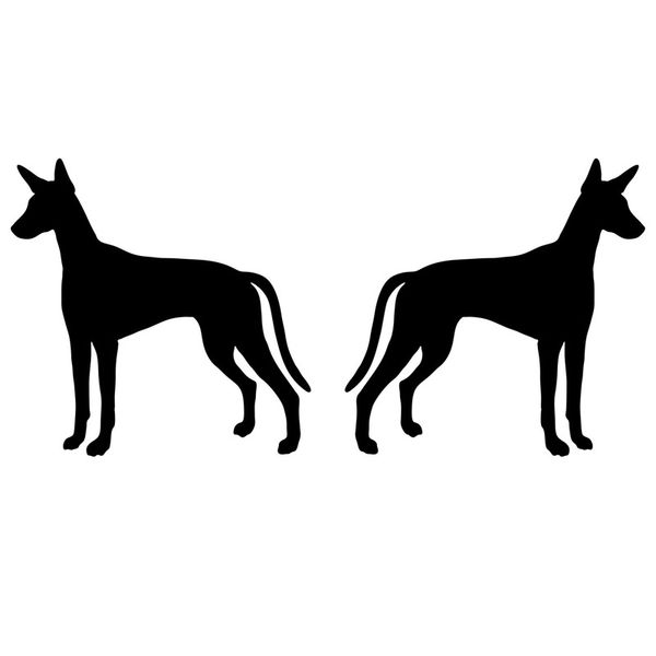 interesting cartoon hound dog (left right) bumper personality animal vinyl decals black/white,13cm*6cm
interesting cartoon hound dog (left right) bumper personality animal vinyl decals black/white,13cm*6cm