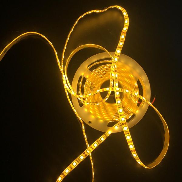 selling strip light golden-yellow not-waterproof ip65 5m/reel jewelry counter lamp highlighting article led strips
selling strip light golden-yellow not-waterproof ip65 5m/reel jewelry counter lamp highlighting article led strips
