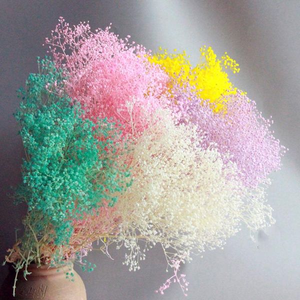 decorative flowers & wreaths 60g natural babysbreath gypsophila million stars for wedding party festival birthday decoration home living roo
decorative flowers & wreaths 60g natural babysbreath gypsophila million stars for wedding party festival birthday decoration home living roo