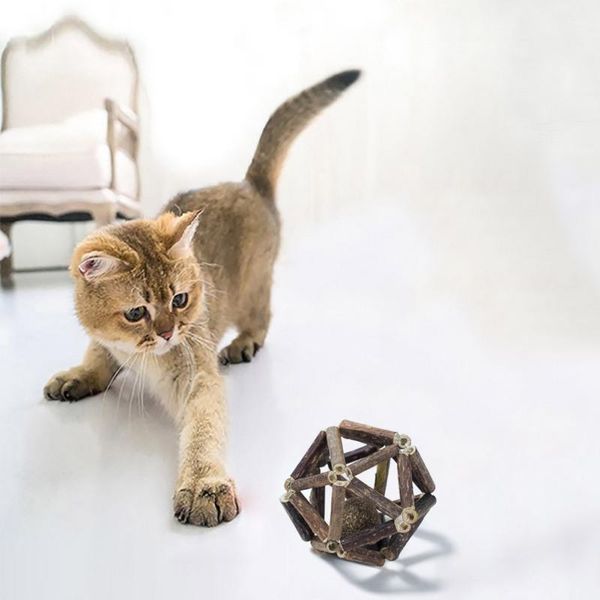cat toys teaser snack chew toy handmade wooden natural silvervine ball catnip edible bite grind teeth cleaner interactive
cat toys teaser snack chew toy handmade wooden natural silvervine ball catnip edible bite grind teeth cleaner interactive