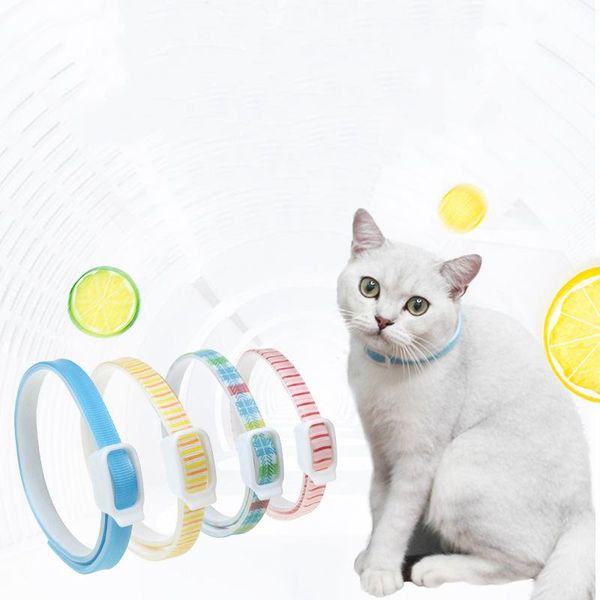 dog collars & leashes aapet 1pc pet anti-lice collar cat flea anti necklace for kitten protector from lice mites mosquitoes insect
dog collars & leashes aapet 1pc pet anti-lice collar cat flea anti necklace for kitten protector from lice mites mosquitoes insect