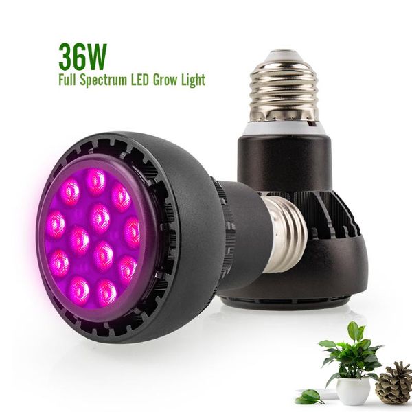 2pcs 36w e27 full spectrum led plant grow tent complete kit phytolamp for indoor garden flower seeds hydroponics box lights
2pcs 36w e27 full spectrum led plant grow tent complete kit phytolamp for indoor garden flower seeds hydroponics box lights