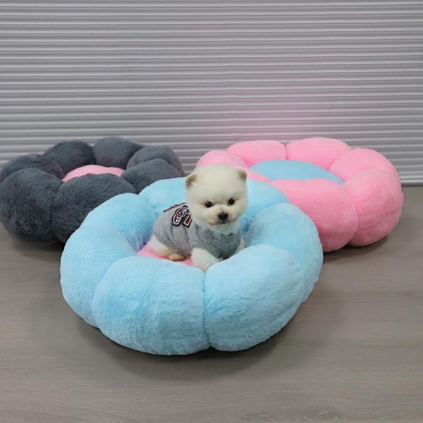 cat beds & furniture 5 colors pet bed round flower shape dog kennel winter warm sleeping thick cushion mats cats nest sofa accessories
cat beds & furniture 5 colors pet bed round flower shape dog kennel winter warm sleeping thick cushion mats cats nest sofa accessories