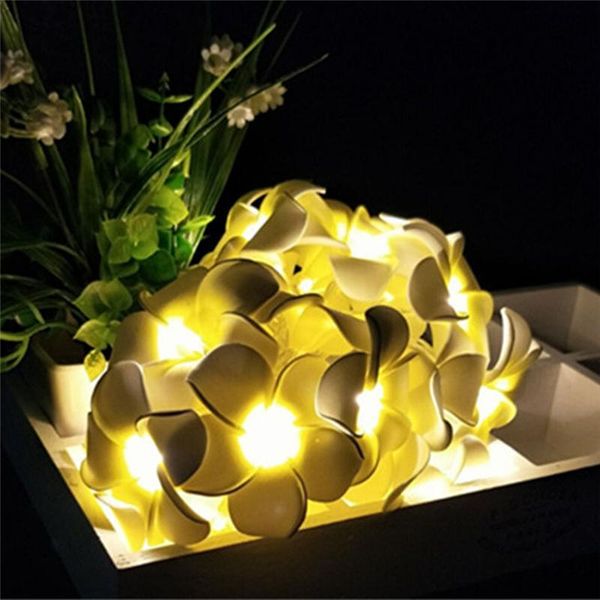 party decoration 20 atmosphere lights string frangipani simulation led lighting warm christmas
party decoration 20 atmosphere lights string frangipani simulation led lighting warm christmas