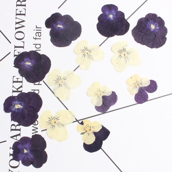 decorative flowers & wreaths 12pcs/bag corner pansy pressed flower diy handmade dried phone case glue material
decorative flowers & wreaths 12pcs/bag corner pansy pressed flower diy handmade dried phone case glue material