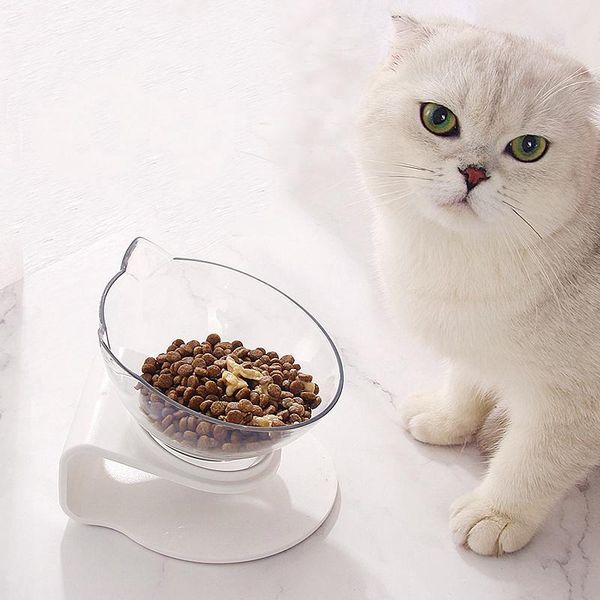 pet tilted feeding bowl for cats detachable neck pain water raised feeder with elevated stand cat bowls & feeders
pet tilted feeding bowl for cats detachable neck pain water raised feeder with elevated stand cat bowls & feeders