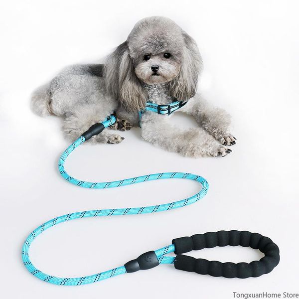 dog collars & leashes pet hand holding rope supplies safe and comfortable chain medium large reflective
dog collars & leashes pet hand holding rope supplies safe and comfortable chain medium large reflective