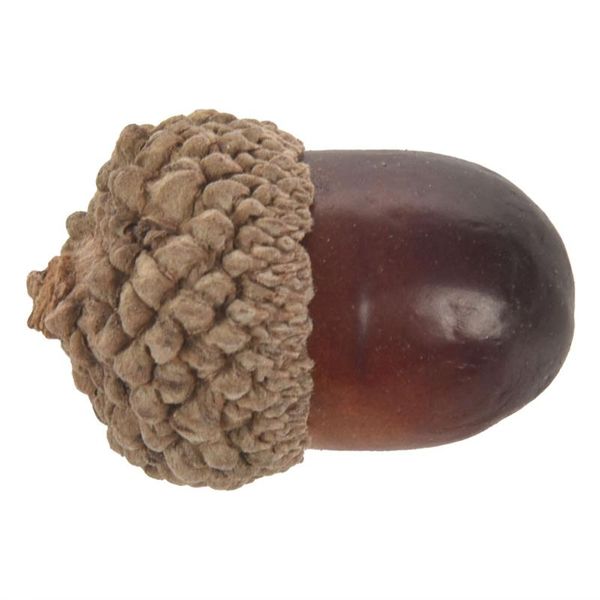 party decoration 20pcs artificial acorns for autumn display wedding holiday miniature garden candy boxes bag venue craft diy
party decoration 20pcs artificial acorns for autumn display wedding holiday miniature garden candy boxes bag venue craft diy