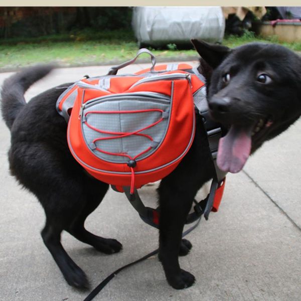 dog car seat covers lovoyager pet accessories waterproof adjustable nylon saddle bag backpack for hiking travel
dog car seat covers lovoyager pet accessories waterproof adjustable nylon saddle bag backpack for hiking travel