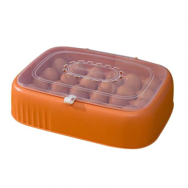 storage bottles & jars tidy-keeping multi-purpose stable stackable fridge egg box for kitchen
storage bottles & jars tidy-keeping multi-purpose stable stackable fridge egg box for kitchen