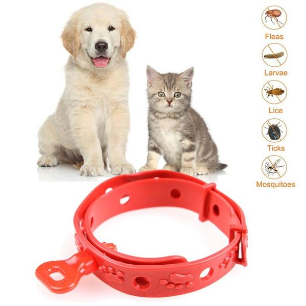 dog collars & leashes cute soft pet outdoor protection anti mosquito kill flea silicone dogs cats adjustable 29cm
dog collars & leashes cute soft pet outdoor protection anti mosquito kill flea silicone dogs cats adjustable 29cm