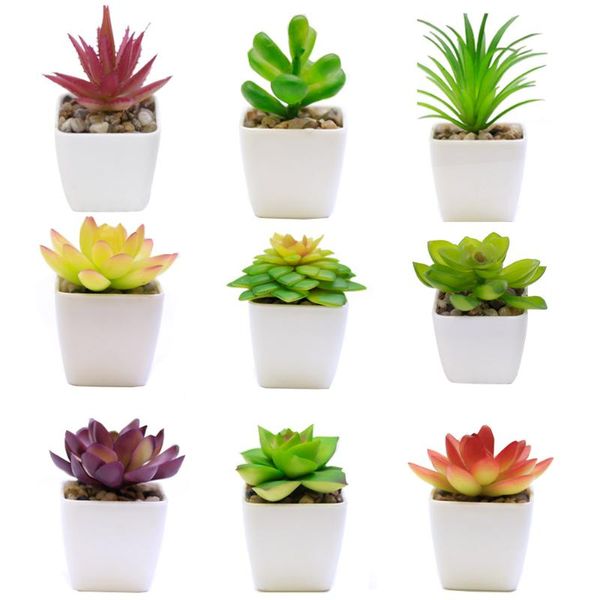 mini lovely artificial plants with pot simulation succulents bonsai potted placed green fake table decoration decorative flowers & wreaths
mini lovely artificial plants with pot simulation succulents bonsai potted placed green fake table decoration decorative flowers & wreaths