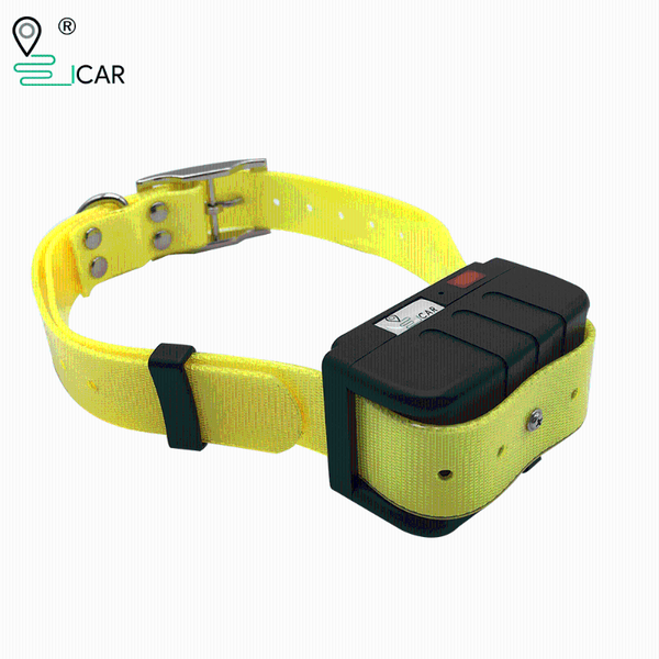 car gps & accessories app waterproof dog tracker collar for hunting tracking voice monitor
car gps & accessories app waterproof dog tracker collar for hunting tracking voice monitor