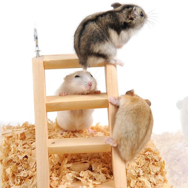 small animal supplies ferrets toy pet stair hamster guinea stairs wood mouse ladder bamboo rat pig
small animal supplies ferrets toy pet stair hamster guinea stairs wood mouse ladder bamboo rat pig