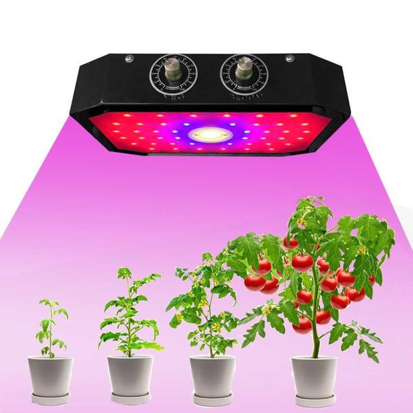 grow lights led light 1000w 1200w full spectrum double switch for greenhouse hydroponic indoor plants veg and flower withhumidity meter
grow lights led light 1000w 1200w full spectrum double switch for greenhouse hydroponic indoor plants veg and flower withhumidity meter