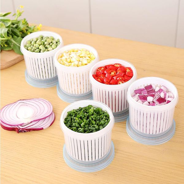 kitchen plastic storage box fresh-keeping boxs refrigerator fruit vegetable drain crisper containers accessories bottles & jars
kitchen plastic storage box fresh-keeping boxs refrigerator fruit vegetable drain crisper containers accessories bottles & jars