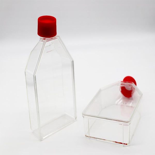 lab supplies 25cm2 75cm2 175cm2 plastic cell culture flask transparent laboratory filter cap
lab supplies 25cm2 75cm2 175cm2 plastic cell culture flask transparent laboratory filter cap