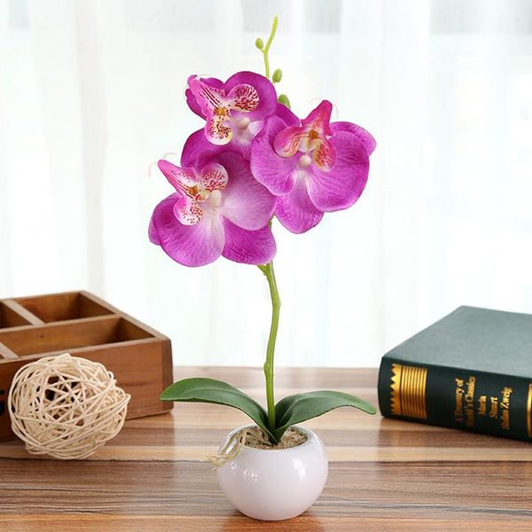 decorative flowers & wreaths artificial exquisite small round pots three-flowered phalaenopsis bonsai home decoration hand made fashion gree
decorative flowers & wreaths artificial exquisite small round pots three-flowered phalaenopsis bonsai home decoration hand made fashion gree